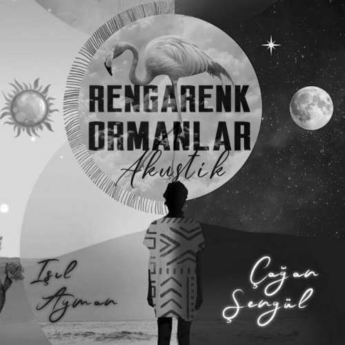 Rengarenk Ormanlar - Akustik